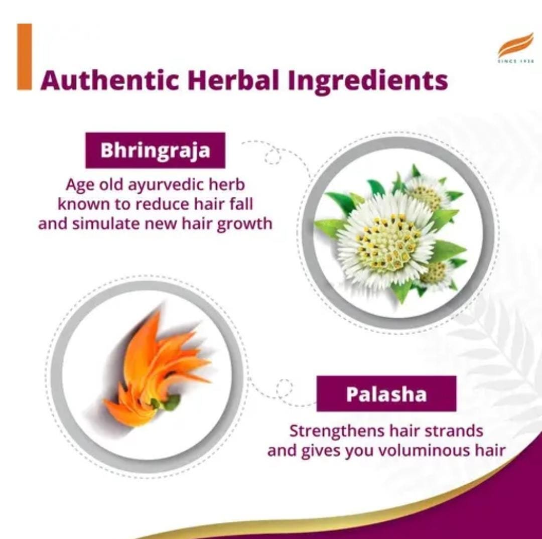 Himalaya Anti-Hair Fall Shampoo | Strengthens Roots & Reduces Breakage | 340ml × 2 Pack - Image 3